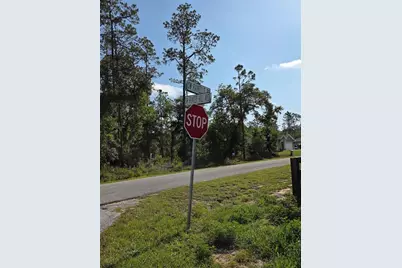 Lot 37 SW Hunter Hill Avenue, Dunnellon, FL 34431 - Photo 19
