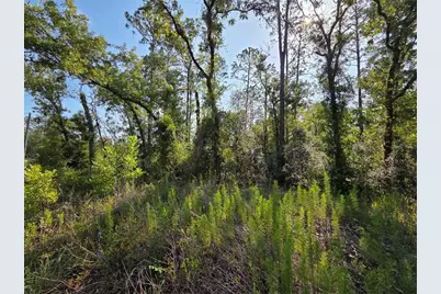 Lot 37 SW Hunter Hill Avenue, Dunnellon, FL 34431 - Photo 17