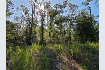 Lot 37 SW Hunter Hill Avenue, Dunnellon, FL 34431 - Photo 15