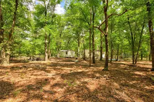 3450 NE 48th Ave, High Springs, FL 32643 - Photo 5
