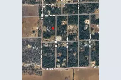 00 NE 121st Avenue, Williston, FL 32696 - Photo 13
