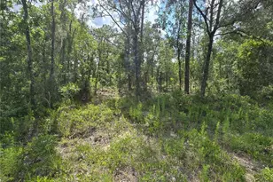 00 NE 121st Ave, Williston, FL 32696 - Photo 1