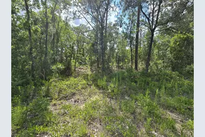 00 NE 121st Avenue, Williston, FL 32696 - Photo 11