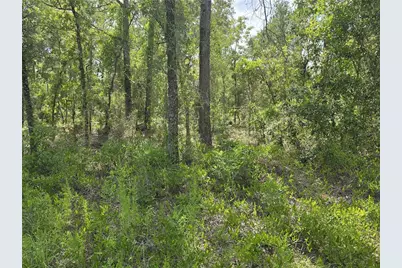 00 NE 121st Avenue, Williston, FL 32696 - Photo 9