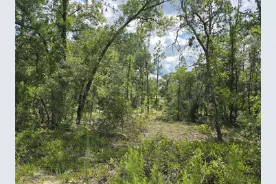 00 NE 121st Avenue, Williston, FL 32696 - Photo 3