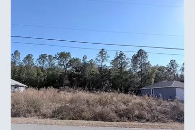 0 SW 59th Lane, Dunnellon, FL 34431 - Photo 3