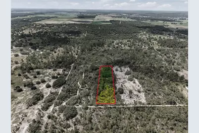 Lot 00 NE 56th St, Bronson, FL 32621 - Photo 19