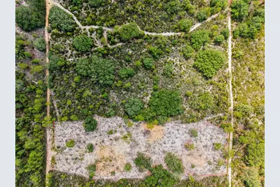 Lot 00 NE 56th St, Bronson, FL 32621 - Photo 7