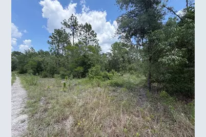 00 NE 65th Terrace, Williston, FL 32696 - Photo 7