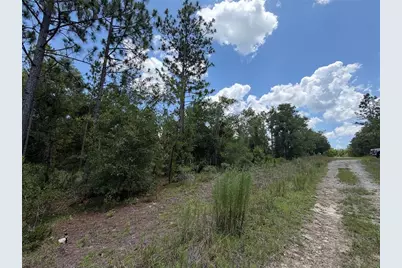 00 NE 65th Terrace, Williston, FL 32696 - Photo 5