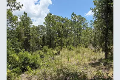 00 NE 65th Terrace, Williston, FL 32696 - Photo 1