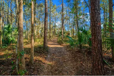 2850 NE 103rd Terrace, Silver Springs, FL 34488 - Photo 91