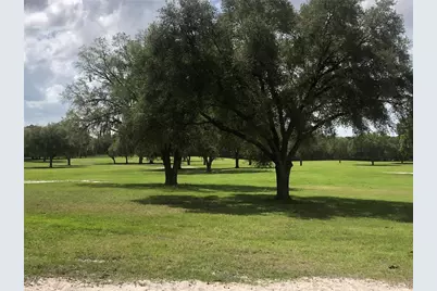 30th Street, Morriston, FL 32668 - Photo 3