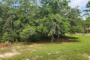 2251 SE 146th Circle, Morriston, FL 32668 - Photo 27