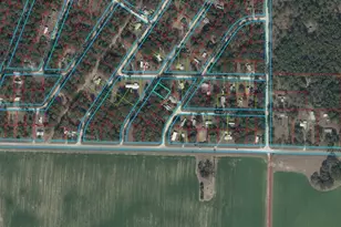 0000 NE 157th Terrace, Williston, FL 32696 - Photo 1