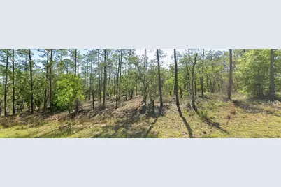 00 SW Sw Zinnia Court, Dunnellon, FL 34431 - Photo 3