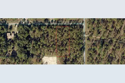 00 NW Falcon Avenue, Dunnellon, FL 34431 - Photo 3