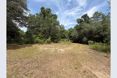 9730 NE State Road 24, Archer, FL 32618 - Photo 15