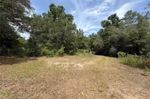 9730 NE State Rd 24, Archer, FL 32618 - Photo 15