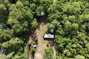 9730 NE State Rd 24, Archer, FL 32618 - Photo 23