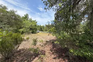 9730 NE State Rd 24, Archer, FL 32618 - Photo 11