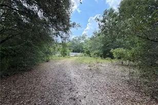 9730 NE State Rd 24, Archer, FL 32618 - Photo 17