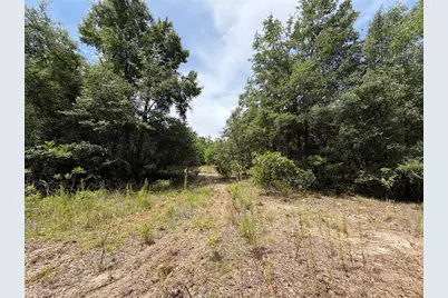 9730 NE State Road 24, Archer, FL 32618 - Photo 13