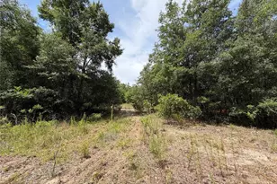 9730 NE State Rd 24, Archer, FL 32618 - Photo 13