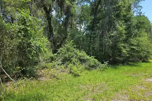 1139 Kingsdale St, Dunnellon, FL 34434 - Photo 1