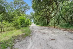 151 NE 164 Ave, Williston, FL 32696 - Photo 27