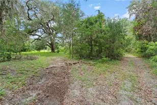 151 NE 164 Ave, Williston, FL 32696 - Photo 23