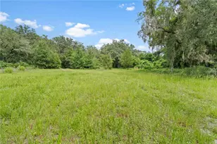151 NE 164 Ave, Williston, FL 32696 - Photo 23