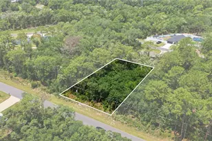 Tbd Locust Terrace Trail, Ocala, FL 34472 - Photo 1