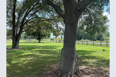 905 NW 80th Avenue, Ocala, FL 34482 - Photo 3