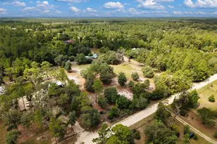 12750 NE 65 St, Williston, FL 32696 - Photo 45