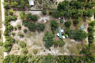 12750 NE 65 St, Williston, FL 32696 - Photo 41