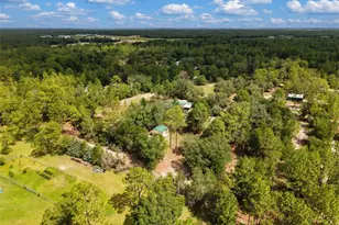 12750 NE 65 St, Williston, FL 32696 - Photo 43