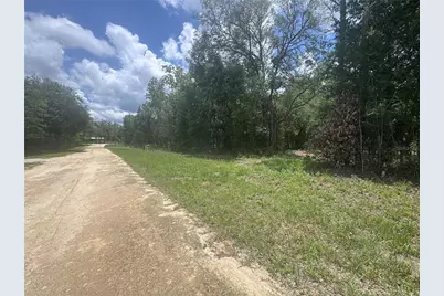 751 NE 139th Avenue, Williston, FL 32696 - Photo 5