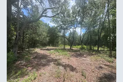 751 NE 139th Avenue, Williston, FL 32696 - Photo 3