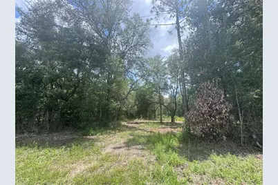 751 NE 139th Avenue, Williston, FL 32696 - Photo 1