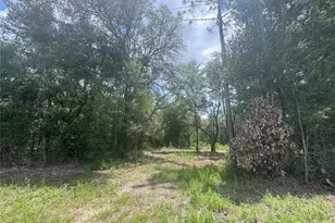 751 NE 139th Ave, Williston, FL 32696 - Photo 1