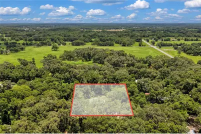 3151 NE 176th Terrace, Williston, FL 32696 - Photo 55