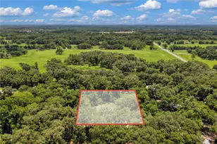 3151 NE 176th Terrace, Williston, FL 32696 - Photo 55
