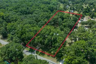 4886 E Hwy 316, Citra, FL 32113 - Photo 11