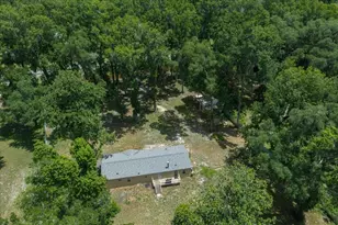 4886 E Hwy 316, Citra, FL 32113 - Photo 13