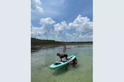 9050 SE 196th Terrace, Ocklawaha, FL 32179 - Photo 43