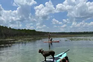 9050 SE 196th Terrace, Ocklawaha, FL 32179 - Photo 43