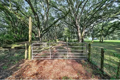 14210 NW Highway 464B, Morriston, FL 32668 - Photo 79