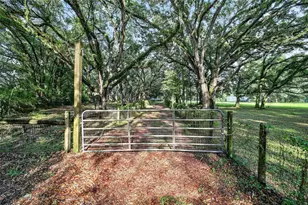 14210 NW Hwy 464B, Morriston, FL 32668 - Photo 79