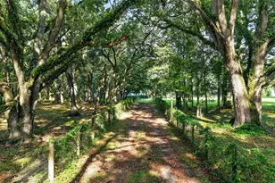 14210 NW Hwy 464B, Morriston, FL 32668 - Photo 81